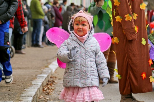 Faschingsumzug 2023 (Fotos Rochus Hetzendorfer)